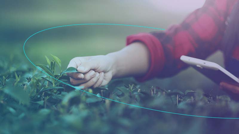 harvest agriculture crop monitoring