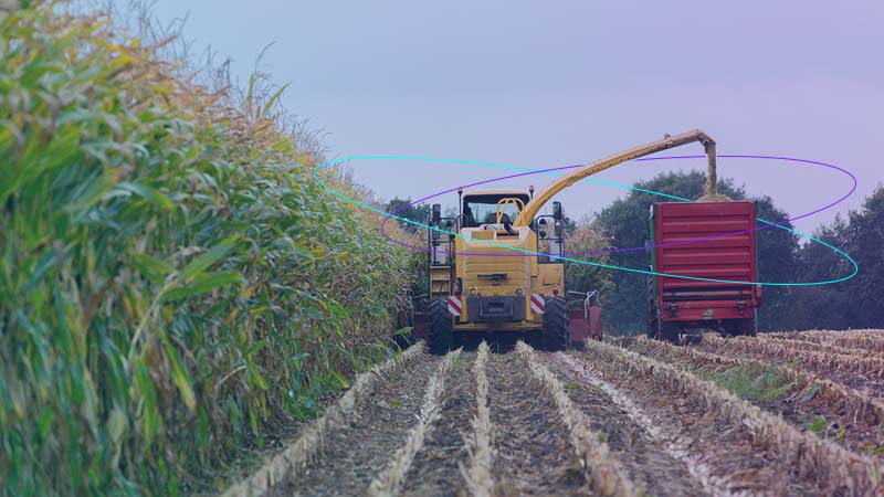 corn harvest tractor